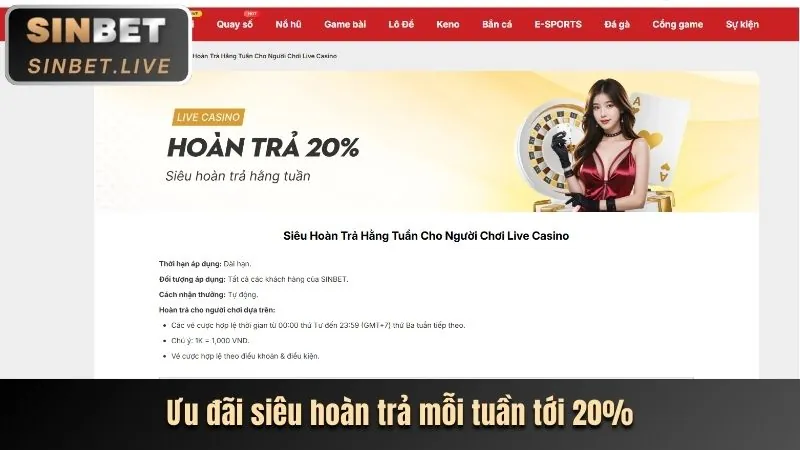 Hoàn trả cược S666 không giới hạn